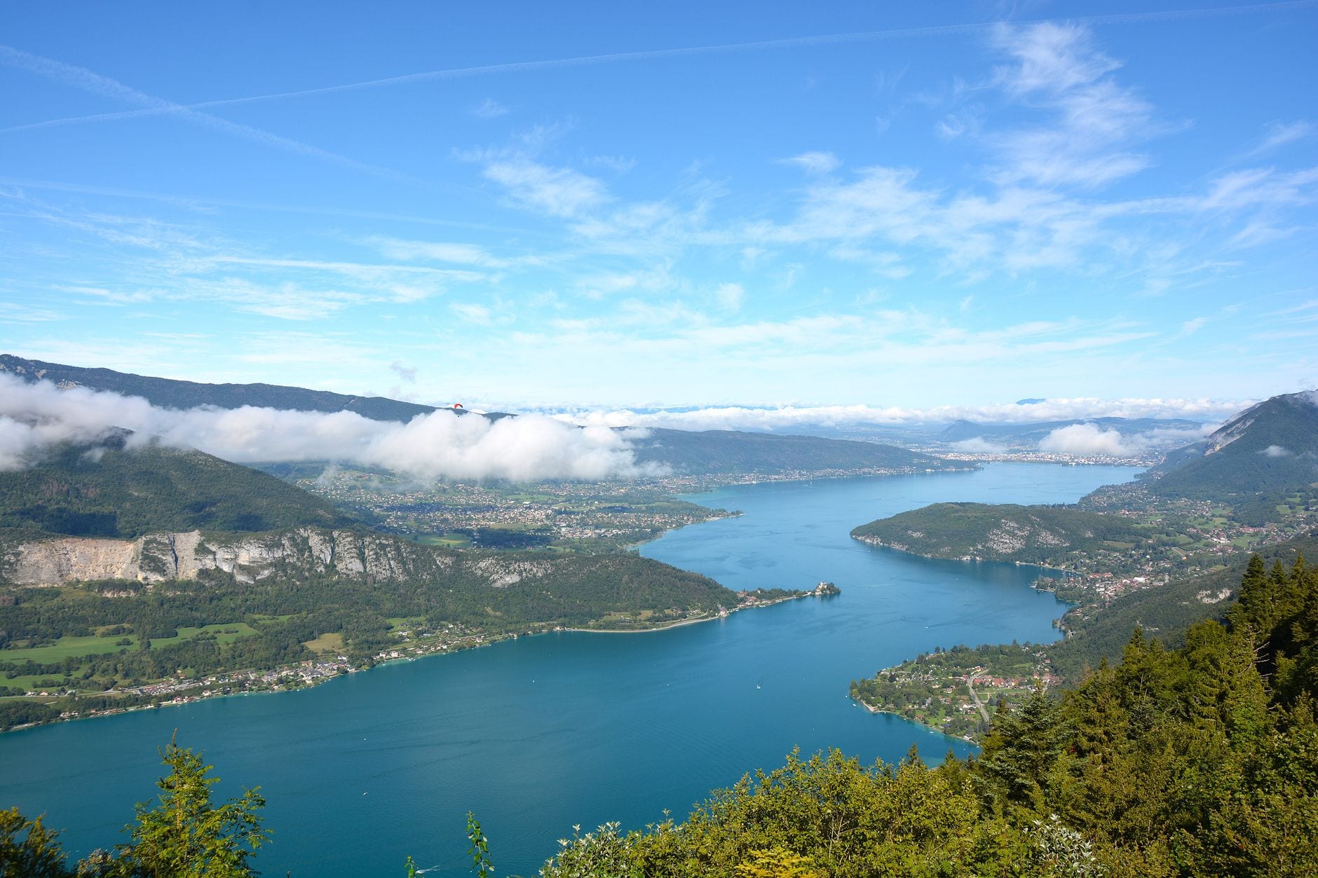 transmission entreprise Annecy conseil